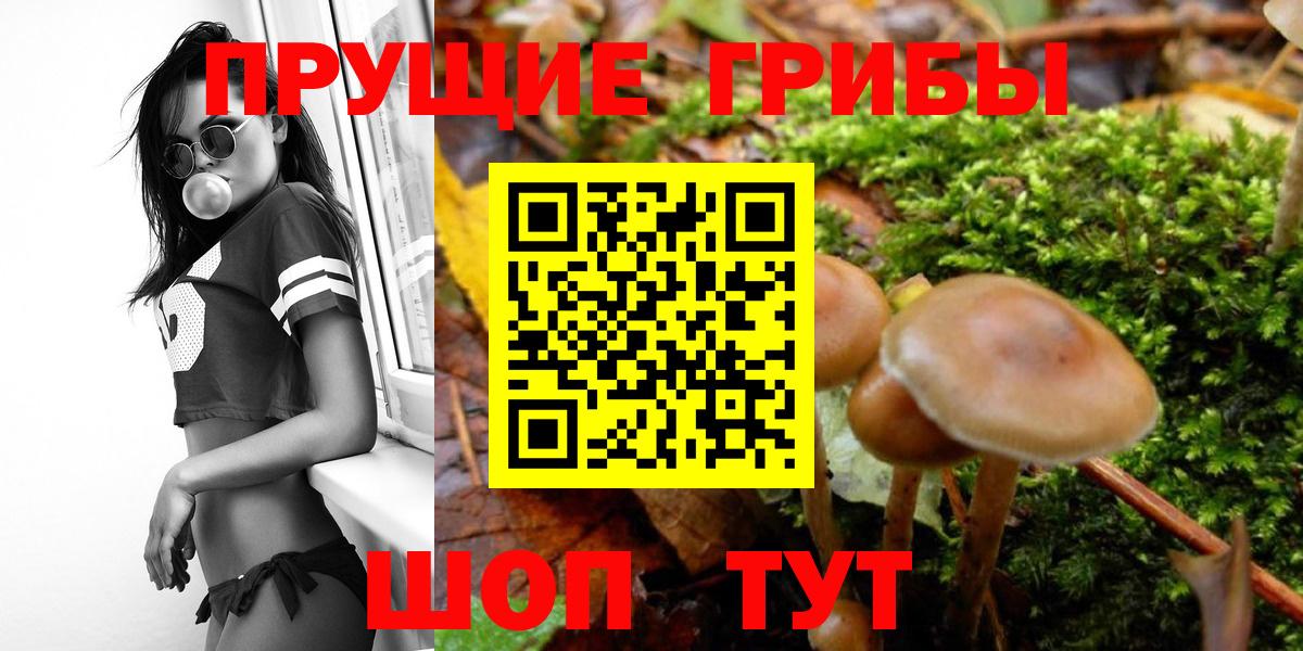 Псилоцибиновые грибы Magic Shrooms Магадан